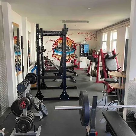 Ferienwohnung Mit Fitnessstudio Top1 Plauen Exterior foto